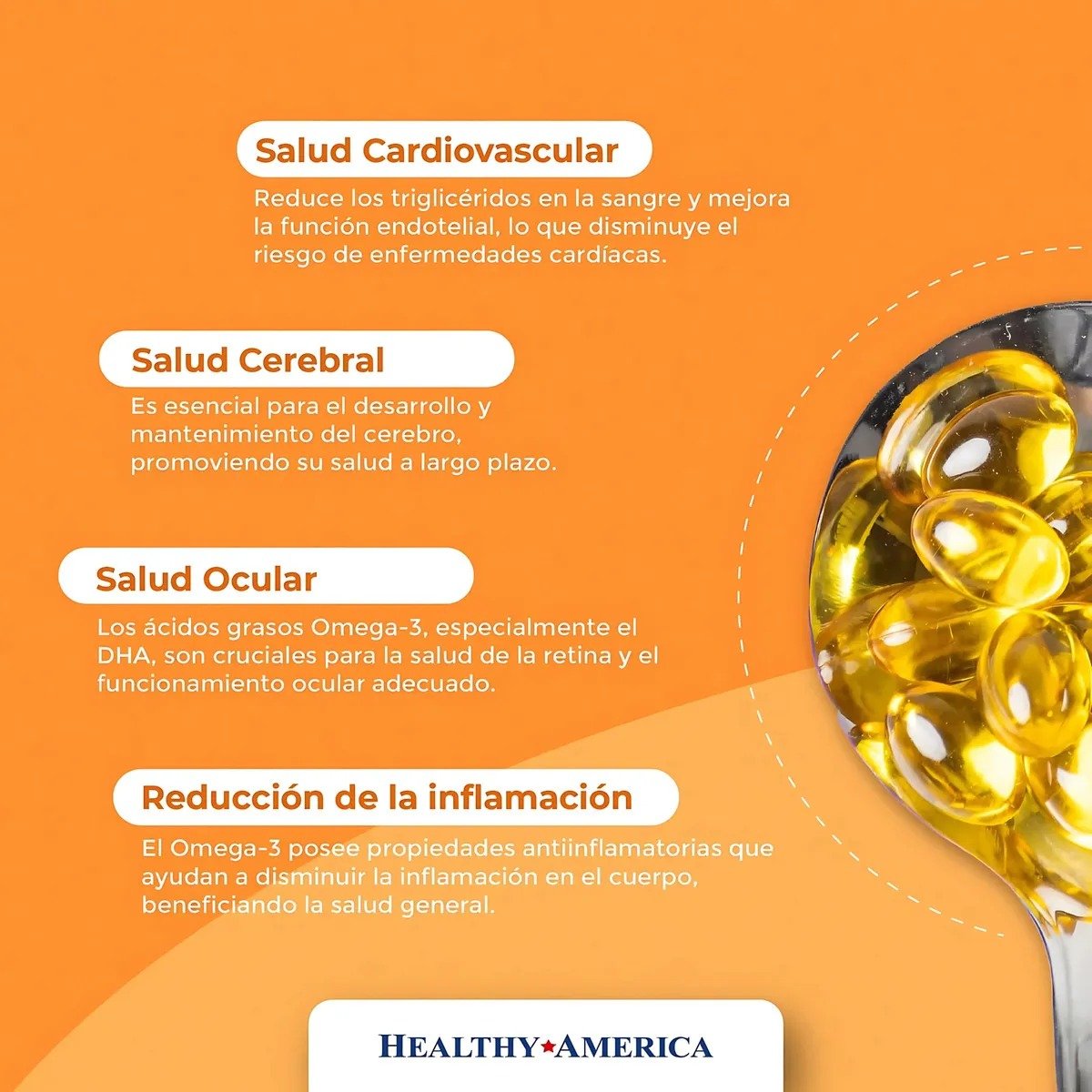 Omega 3 1200 mg Alta Concentración (EPA 648 mg + DHA 432 mg) – 100 Cáps - Image 3